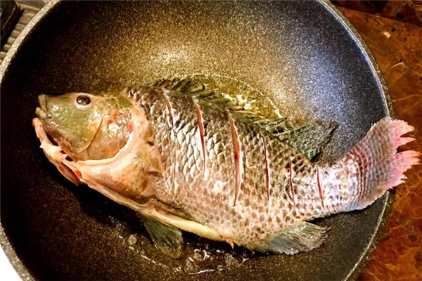 孕婦能吃羅非魚嗎 不過敏就可以吃 孕婦能吃羅非魚嗎 不過敏就可以吃