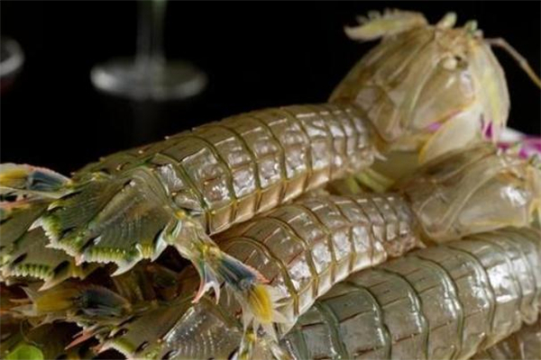 琵琶蝦蒸多長時間 蒸琵琶蝦做法 琵琶蝦蒸多長時間 蒸琵琶蝦做法