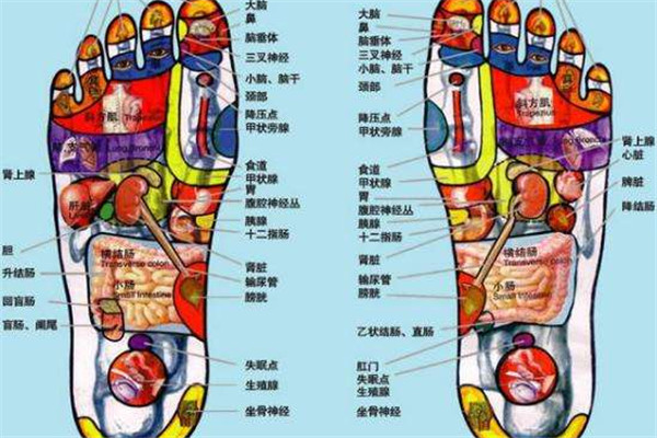 腳上有哪些穴位 哪些穴位代表身體健康
