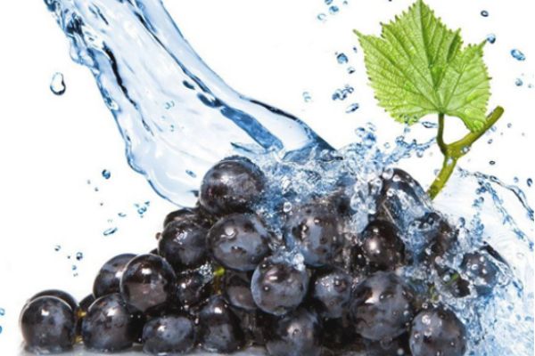 葡萄怎么清洗干凈 葡萄的營養(yǎng)價值及功效