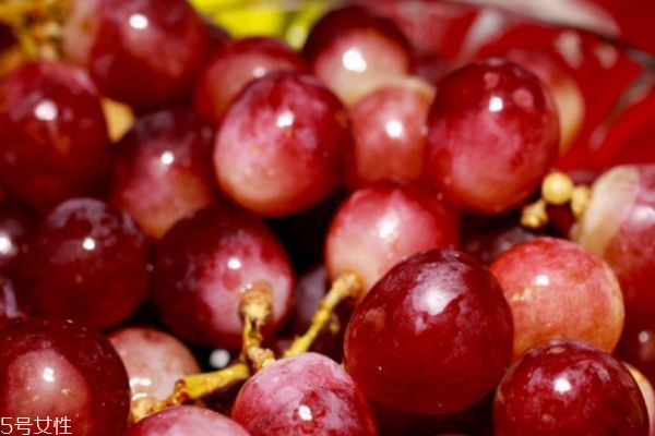 提子和葡萄的區(qū)別 提子和葡萄的共同之處 提子和葡萄的區(qū)別 提子和葡萄的共同之處