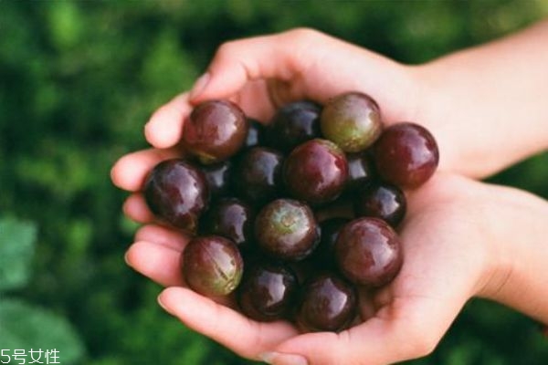 葡萄沒(méi)洗就吃了肚子痛怎么辦 葡萄不洗剝皮能吃