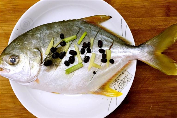 白鯧魚多少錢一斤 白鯧魚市場(chǎng)行情 白鯧魚多少錢一斤 白鯧魚市場(chǎng)行情