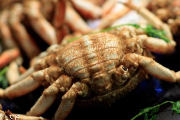 螃蟹怎么放不會(huì)死掉 活螃蟹能放冰箱嗎 螃蟹怎么放不會(huì)死掉 活螃蟹能放冰箱嗎