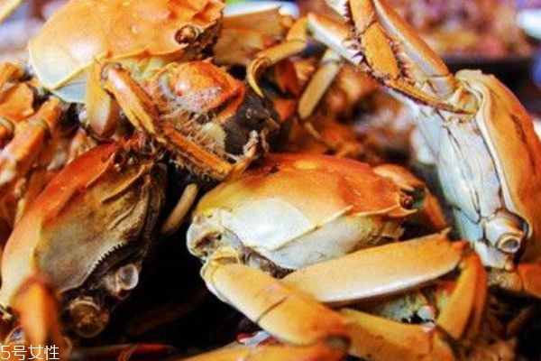 螃蟹怎么放不會(huì)死掉 活螃蟹能放冰箱嗎 螃蟹怎么放不會(huì)死掉 活螃蟹能放冰箱嗎