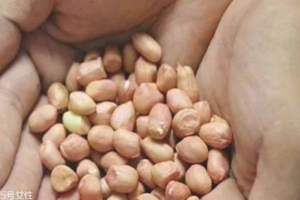 花生米泡醋用什么醋 對(duì)身體有這些好處 花生米泡醋用什么醋 對(duì)身體有這些好處