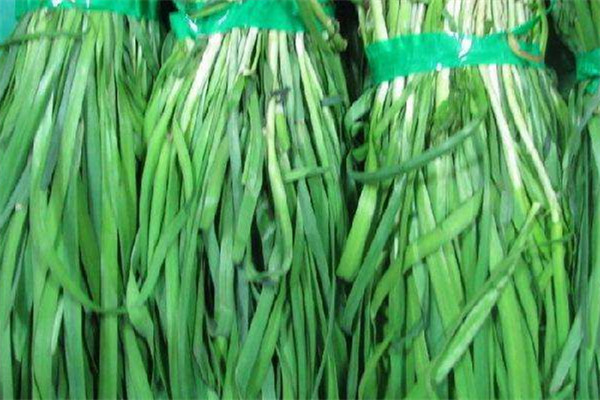 韭菜可以治腳氣嗎 腳氣治療方法 韭菜可以治腳氣嗎 腳氣治療方法