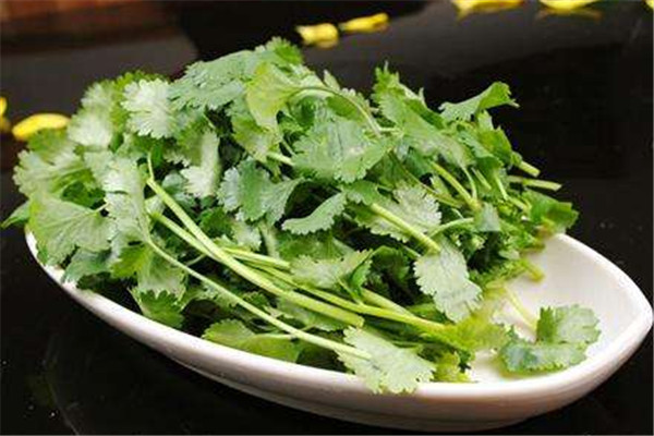香菜可以去濕氣嗎 香菜的作用 香菜可以去濕氣嗎 香菜的作用