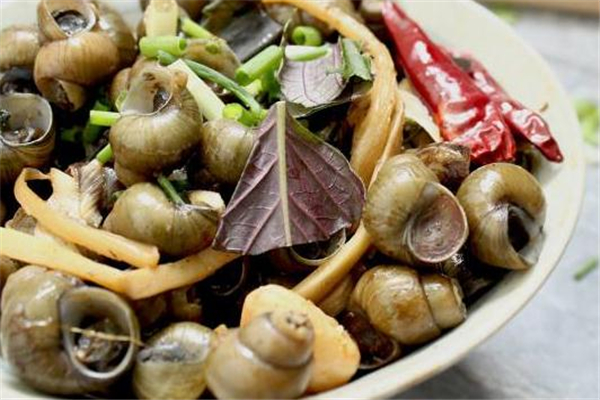 石螺和田螺的區(qū)別 這樣來區(qū)分 石螺和田螺的區(qū)別 這樣來區(qū)分