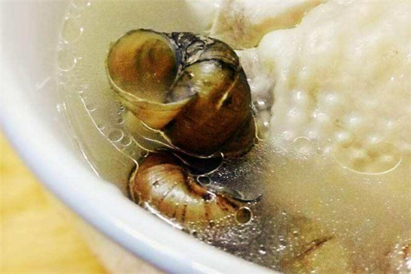 石螺雞湯的做法 健康養(yǎng)生食譜 石螺雞湯的做法 健康養(yǎng)生食譜