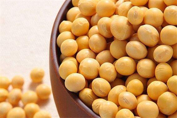 大豆可以釀酒嗎 大豆的作用 大豆可以釀酒嗎 大豆的作用