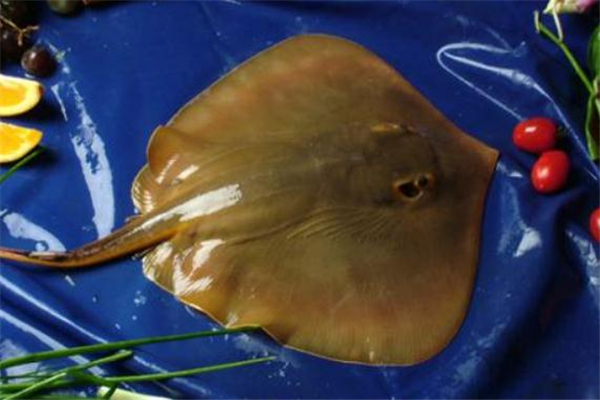 老板魚(yú)怎么做好吃 老板魚(yú)的做法大全
