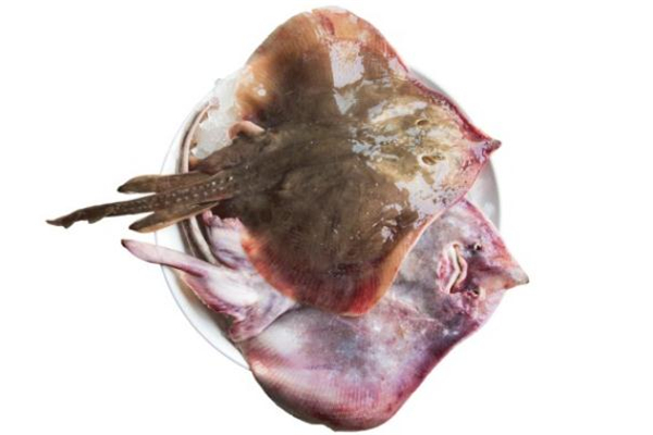 老板魚(yú)不能和什么一起吃 老板魚(yú)禁忌 老板魚(yú)不能和什么一起吃 老板魚(yú)禁忌