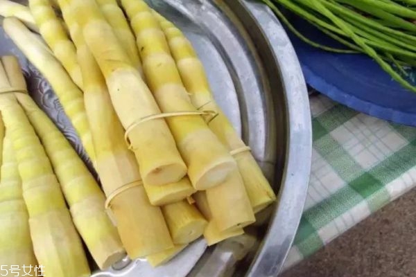 春筍要焯水嗎 新鮮春筍怎么處理 春筍要焯水嗎 新鮮春筍怎么處理
