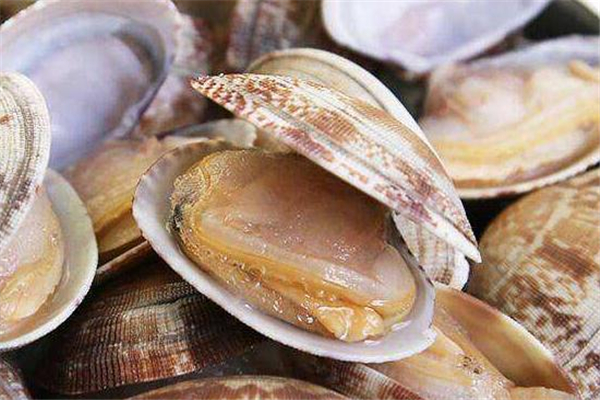 文蛤能多吃嗎？文蛤吃多了有什么好處？