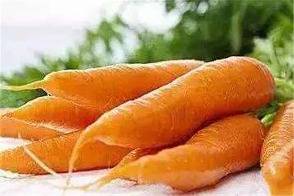 胡蘿卜可以和蝦一起吃嗎 胡蘿卜怎么吃好 胡蘿卜可以和蝦一起吃嗎 胡蘿卜怎么吃好