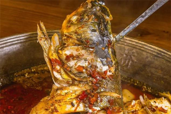 花鰱和白鰱的區(qū)別 花鰱和白鰱哪個(gè)好吃 花鰱和白鰱的區(qū)別 花鰱和白鰱哪個(gè)好吃