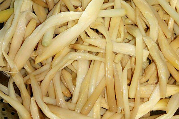 黃花菜可以和豆腐一起吃嗎 黃花菜豆腐一起吃好嗎 黃花菜可以和豆腐一起吃嗎 黃花菜豆腐一起吃好嗎