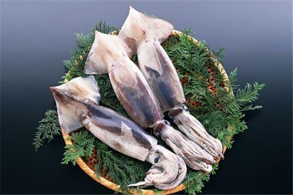 魷魚(yú)可以生吃嗎 魷魚(yú)的功效 魷魚(yú)可以生吃嗎 魷魚(yú)的功效