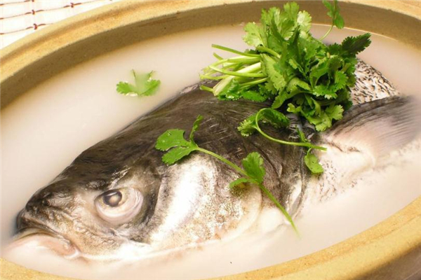 鳙魚是什么魚 營養(yǎng)美味食材 鳙魚是什么魚 營養(yǎng)美味食材