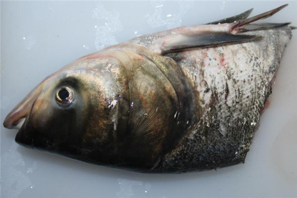 鳙魚怎么做好吃 鳙魚的做法大全 鳙魚怎么做好吃 鳙魚的做法大全