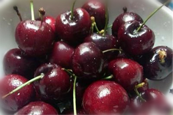 車?yán)遄雍蜋烟夷膫€(gè)好 車?yán)遄雍蜋烟业淖饔? alt=