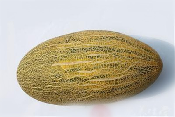 哈密瓜可以減肥嗎 哈密瓜減肥的方法 哈密瓜可以減肥嗎 哈密瓜減肥的方法