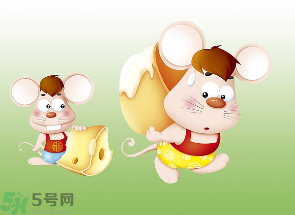 吃奶酪會過敏嗎？芝士是發(fā)物嗎？