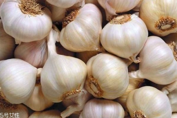 蒜水治咳嗽有效嗎 大蒜水治咳嗽注意事項 蒜水治咳嗽有效嗎 大蒜水治咳嗽注意事項