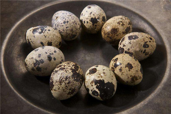 煮鵪鶉蛋要放多少水 水量不能太少 煮鵪鶉蛋要放多少水 水量不能太少