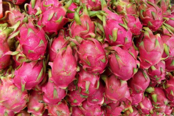 蘋果可以和火龍果一起吃嗎 蘋果的功效 蘋果可以和火龍果一起吃嗎 蘋果的功效