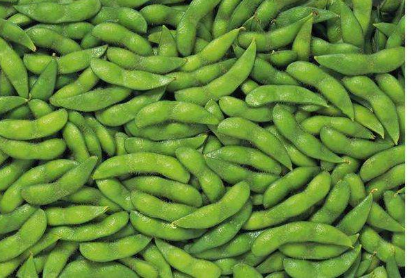 毛豆可以和胡蘿卜一起炒嗎 毛豆的作用 毛豆可以和胡蘿卜一起炒嗎 毛豆的作用