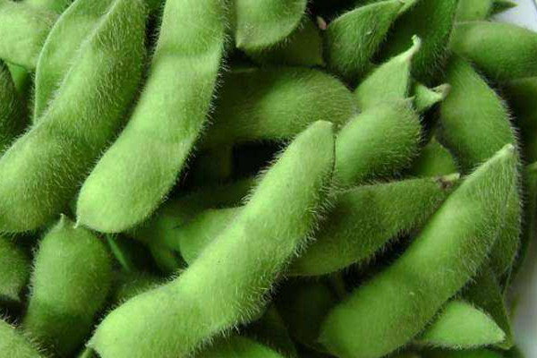 毛豆可以和胡蘿卜一起炒嗎 毛豆的作用 毛豆可以和胡蘿卜一起炒嗎 毛豆的作用