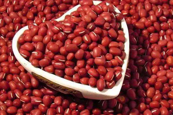 紅豆可以和綠豆一起吃嗎 紅豆和綠豆的價值 紅豆可以和綠豆一起吃嗎 紅豆和綠豆的價值