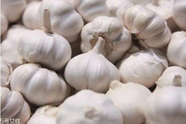 蒜水治咳嗽有效嗎 大蒜水治咳嗽注意事項 蒜水治咳嗽有效嗎 大蒜水治咳嗽注意事項