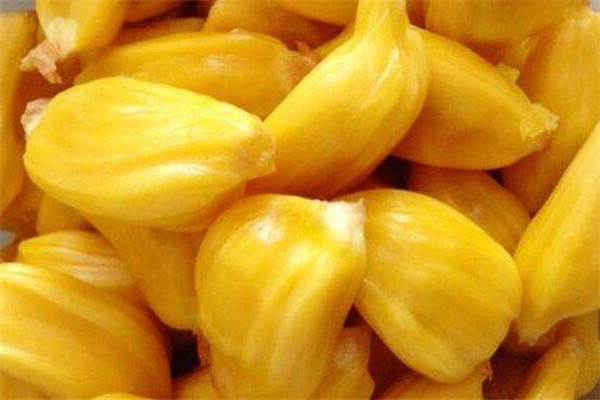 菠蘿蜜可以和雞蛋一起吃嗎 菠蘿蜜這樣吃 菠蘿蜜可以和雞蛋一起吃嗎 菠蘿蜜這樣吃