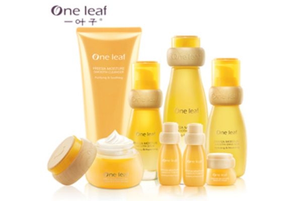 一葉子小蒼蘭多少錢 一葉子小蒼蘭使用順序 一葉子小蒼蘭多少錢 一葉子小蒼蘭使用順序