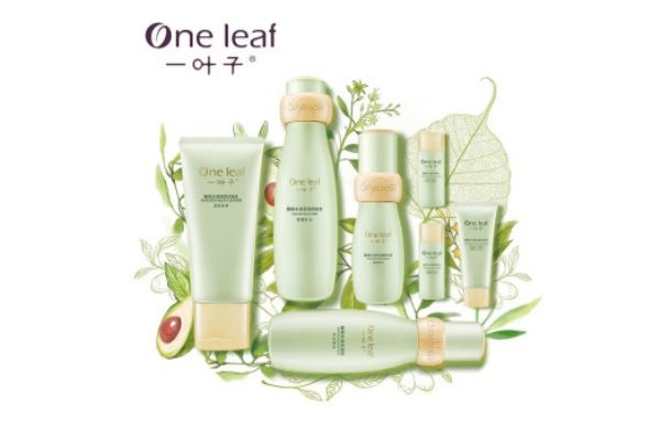 一葉子水乳多少錢 一葉子水乳介紹 一葉子水乳多少錢 一葉子水乳介紹