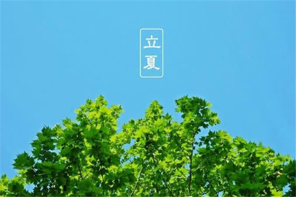 立夏風(fēng)俗吃什么 立夏怎么吃好 立夏風(fēng)俗吃什么 立夏怎么吃好