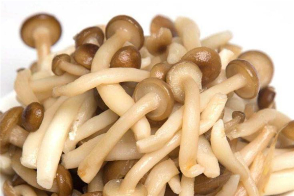 蟹味菇可以炸著吃嗎 干炸蟹味菇的做法 蟹味菇可以炸著吃嗎 干炸蟹味菇的做法