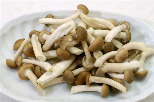 蟹味菇可以炸著吃嗎 干炸蟹味菇的做法 蟹味菇可以炸著吃嗎 干炸蟹味菇的做法