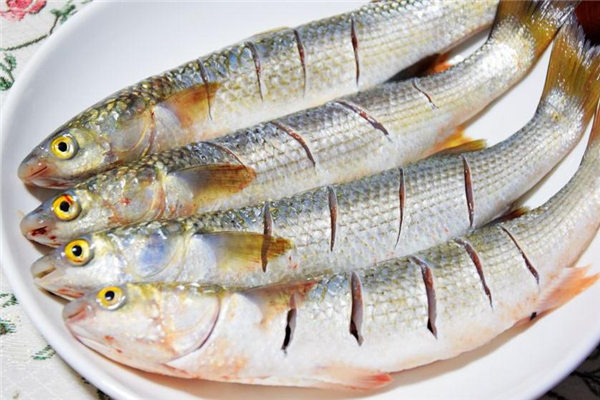梭魚(yú)怎么做好吃 梭魚(yú)的做法大全 梭魚(yú)怎么做好吃 梭魚(yú)的做法大全