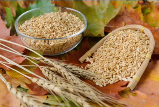 身體差怎么補？雜糧、豆類和湯臣倍健蛋白粉