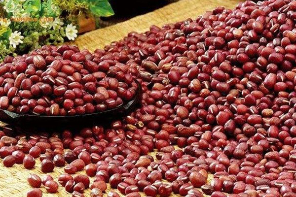 紅豆為什么會生蟲 紅豆生蟲原因是這樣 紅豆為什么會生蟲 紅豆生蟲原因是這樣