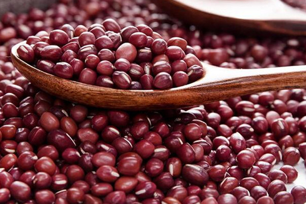 紅豆為什么會生蟲 紅豆生蟲原因是這樣 紅豆為什么會生蟲 紅豆生蟲原因是這樣