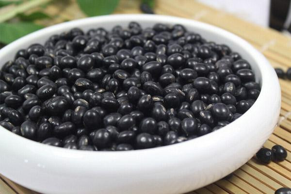 黑豆為什么治脫發(fā) 黑豆治脫發(fā)原因 黑豆為什么治脫發(fā) 黑豆治脫發(fā)原因