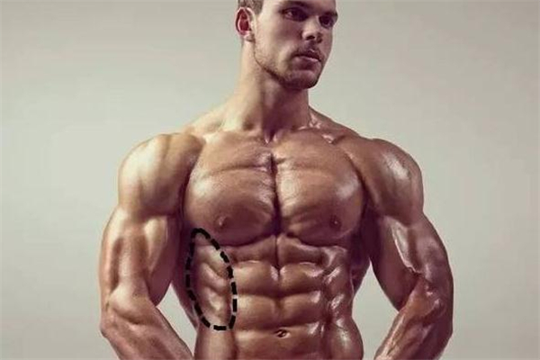 鯊魚(yú)線怎么練 鯊魚(yú)線練什么動(dòng)作