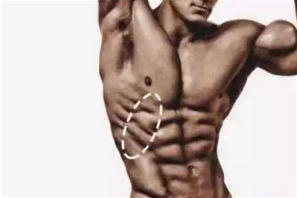 鯊魚線人魚線哪個(gè)更難練 鯊魚線和人魚線的區(qū)別 鯊魚線人魚線哪個(gè)更難練 鯊魚線和人魚線的區(qū)別