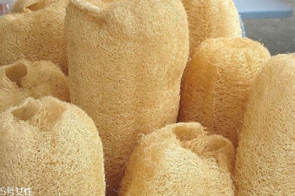 干絲瓜的功效與作用 干絲瓜煮水的功效 干絲瓜的功效與作用 干絲瓜煮水的功效