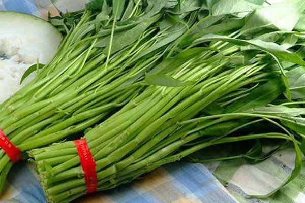 空心菜發(fā)芽能吃嗎 空心菜發(fā)芽不建議食用 空心菜發(fā)芽能吃嗎 空心菜發(fā)芽不建議食用